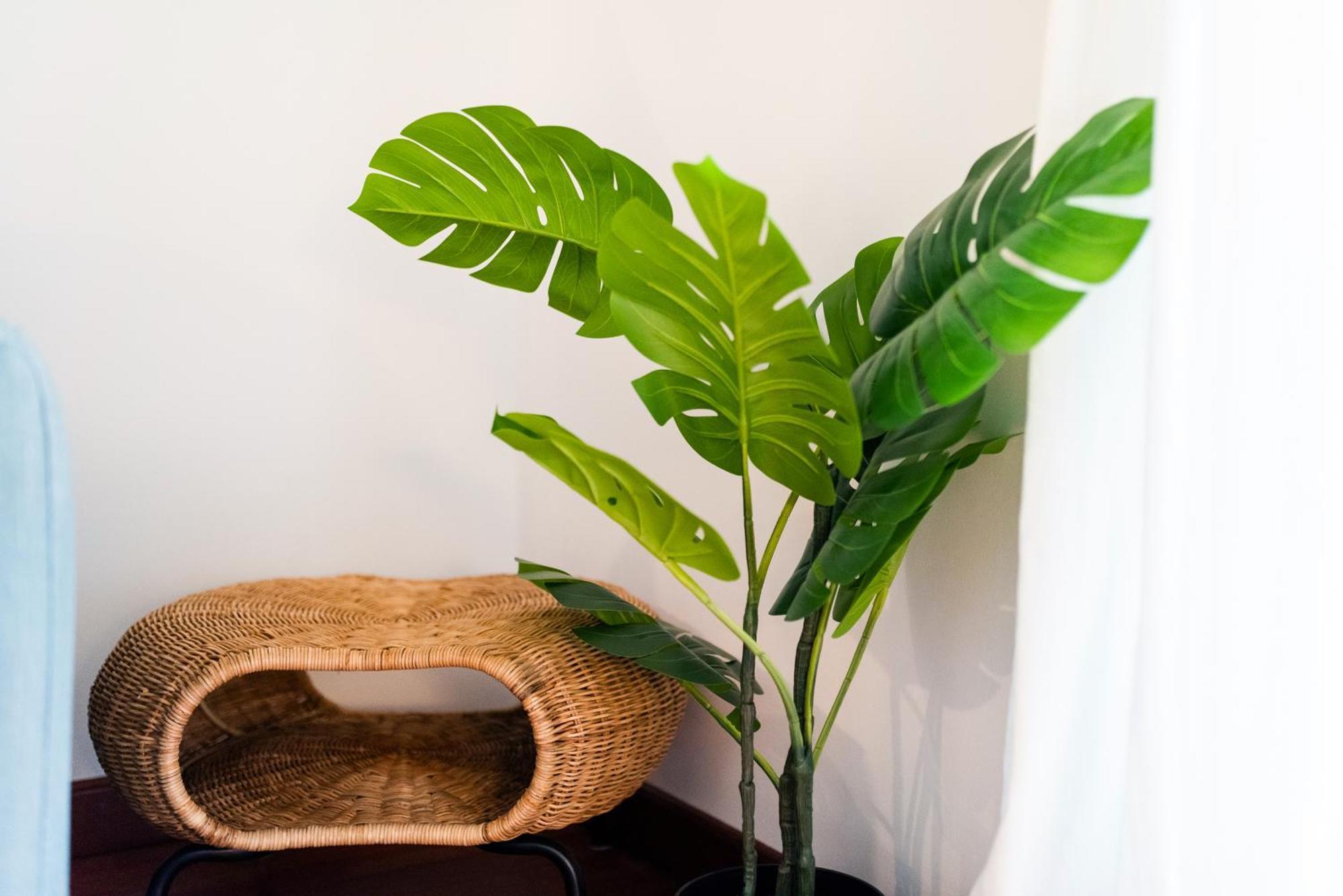 Apartamento Con Encanto, Centro Granada Kültér fotó
